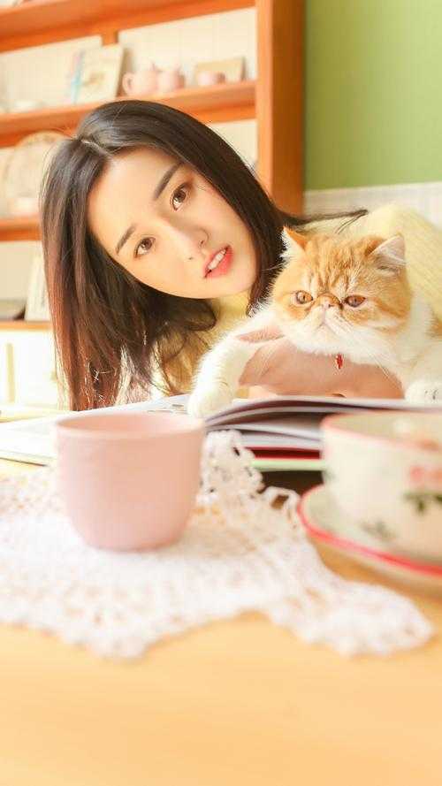 穿成庶女后，我靠茶艺团灭全家商芷瑶商陆无删减+无广告