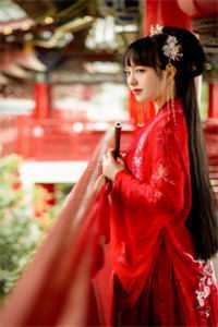 偷走我技术后，女友后悔了白月光秦浩完结文