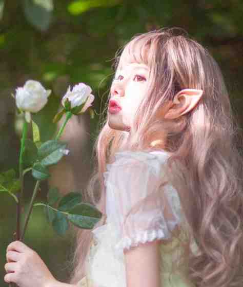 借寿嫦生谭云全章节免费阅读