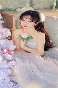付寻月陆昭钰写的小说寻月难觅两相隔