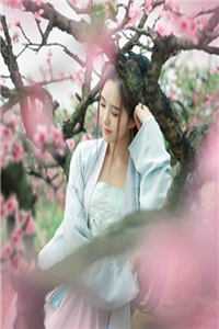 可惜彩云绕梦间完结版小说徐莫庭段弥月