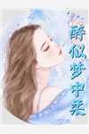 我把自己献给国家后，妻子悔疯了宋佳音佳音小说